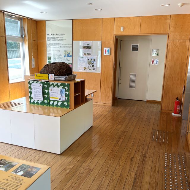 生田緑地　きれいなトイレ　東口ビジターセンター
